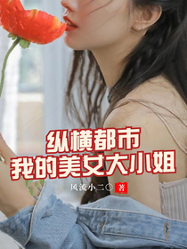 纵横都市:我的美女大小姐