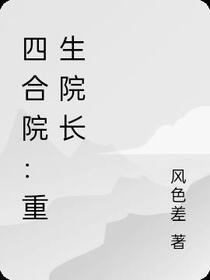 四合院：重生院长